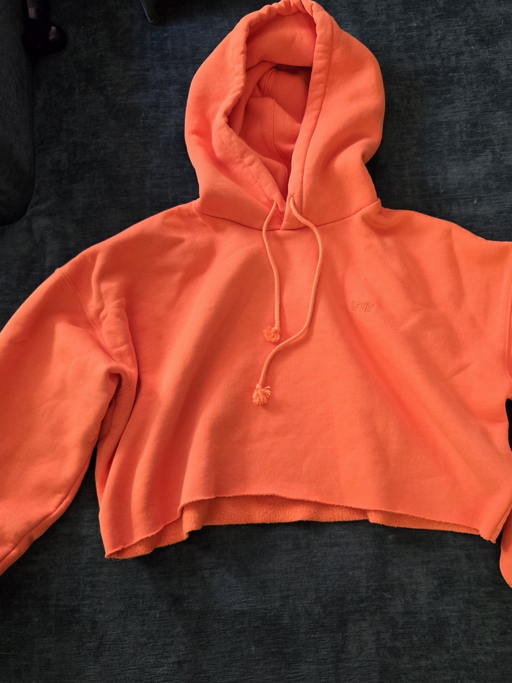 Levi's Gold Tab 90's Raw Cut Hoodie